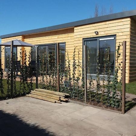Luxe Vakantie Bungalow Met 3 Slaapkamers Dronrijp Экстерьер фото